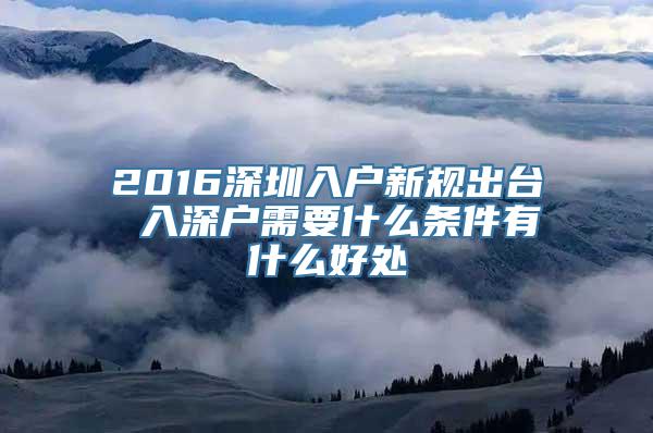 2016深圳入户新规出台 入深户需要什么条件有什么好处