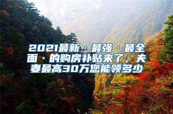 2021最新·最强·最全面·的购房补贴来了，夫妻最高30万您能领多少