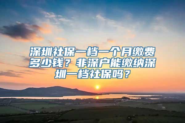 深圳社保一档一个月缴费多少钱？非深户能缴纳深圳一档社保吗？