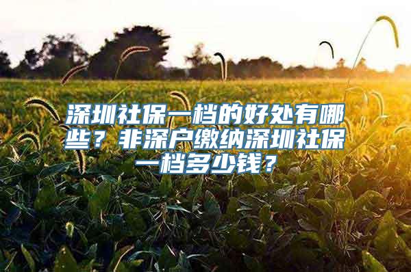 深圳社保一档的好处有哪些？非深户缴纳深圳社保一档多少钱？