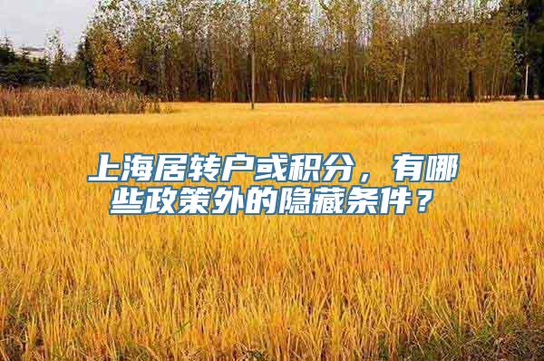 上海居转户或积分，有哪些政策外的隐藏条件？
