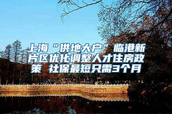 上海“供地大户”临港新片区优化调整人才住房政策 社保最短只需3个月