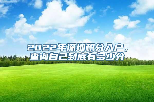 2022年深圳积分入户，查询自己到底有多少分