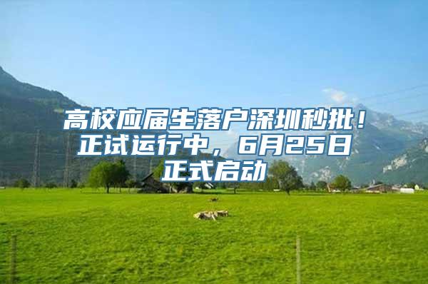 高校应届生落户深圳秒批！正试运行中，6月25日正式启动