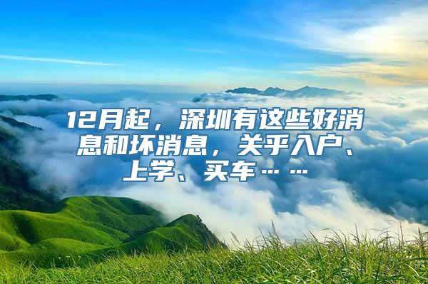 12月起，深圳有这些好消息和坏消息，关乎入户、上学、买车……