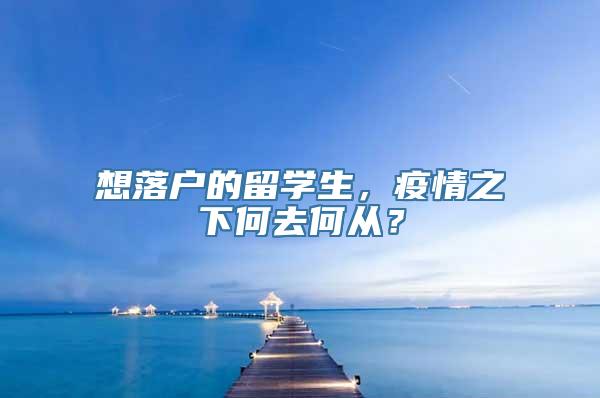 想落户的留学生，疫情之下何去何从？