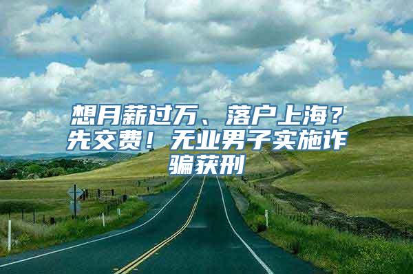 想月薪过万、落户上海？先交费！无业男子实施诈骗获刑