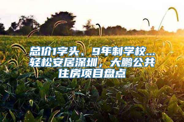 总价1字头、9年制学校...轻松安居深圳，大鹏公共住房项目盘点