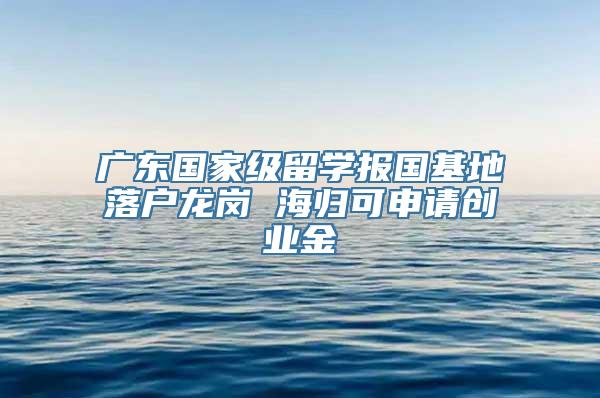 广东国家级留学报国基地落户龙岗 海归可申请创业金
