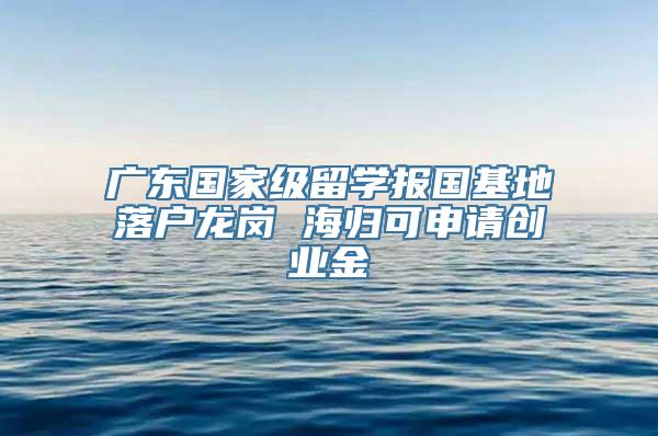 广东国家级留学报国基地落户龙岗 海归可申请创业金