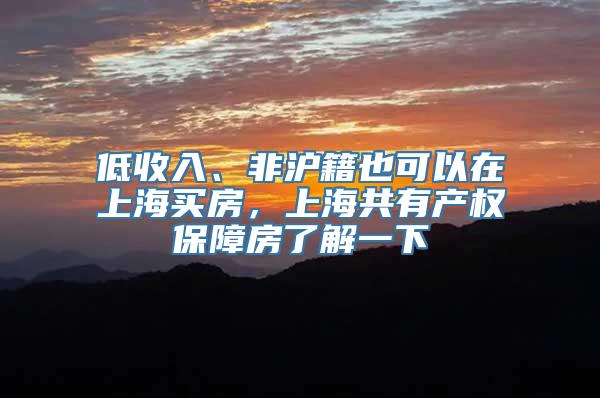 低收入、非沪籍也可以在上海买房，上海共有产权保障房了解一下