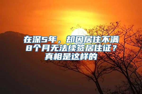 在深5年，却因居住不满8个月无法续签居住证？真相是这样的