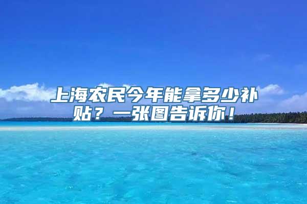 上海农民今年能拿多少补贴？一张图告诉你！