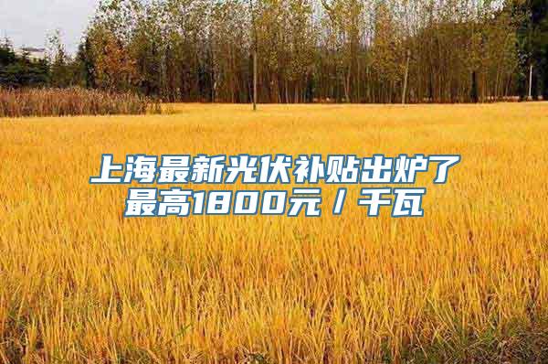 上海最新光伏补贴出炉了最高1800元／千瓦
