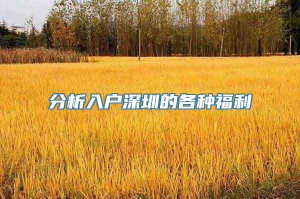 分析入户深圳的各种福利