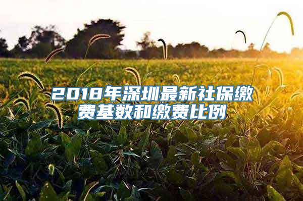 2018年深圳最新社保缴费基数和缴费比例