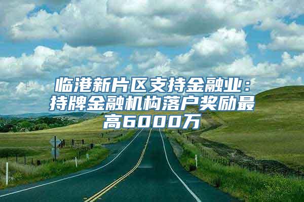 临港新片区支持金融业：持牌金融机构落户奖励最高6000万