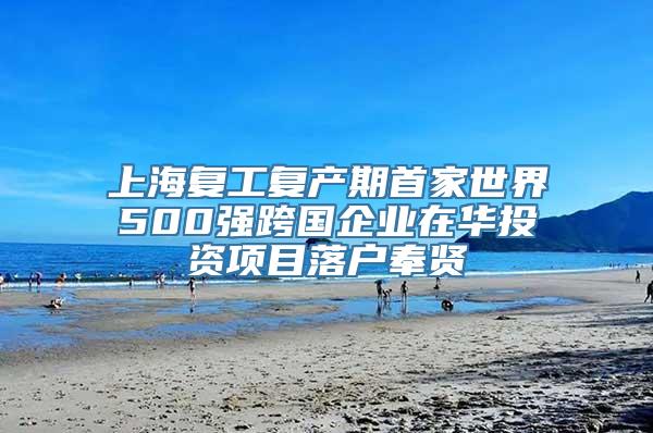 上海复工复产期首家世界500强跨国企业在华投资项目落户奉贤