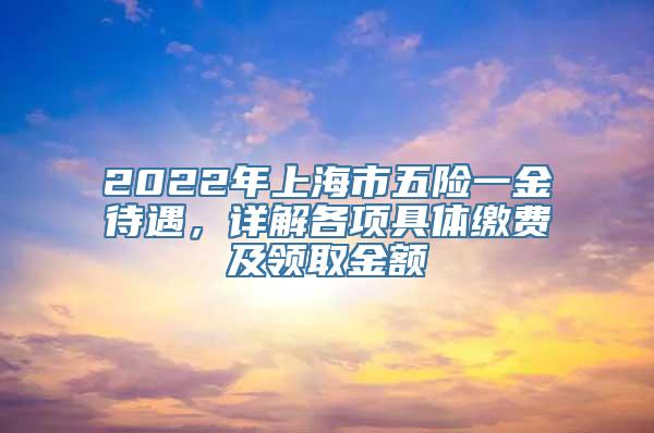 2022年上海市五险一金待遇，详解各项具体缴费及领取金额