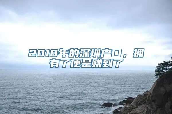 2018年的深圳户口，拥有了便是赚到了