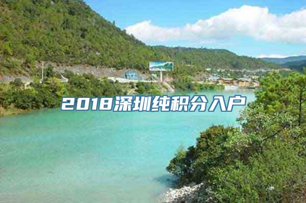 2018深圳纯积分入户