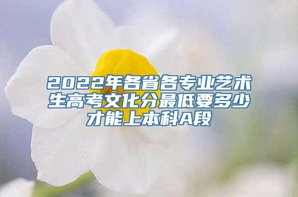 2022年各省各专业艺术生高考文化分最低要多少才能上本科A段