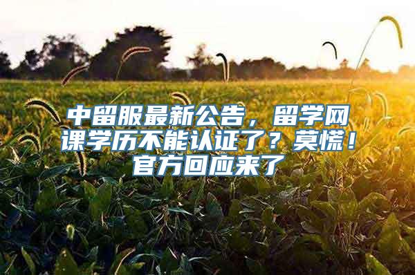 中留服最新公告，留学网课学历不能认证了？莫慌！官方回应来了