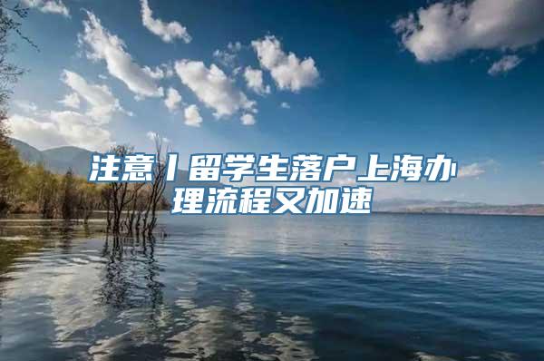 注意丨留学生落户上海办理流程又加速