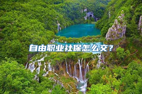 自由职业社保怎么交？