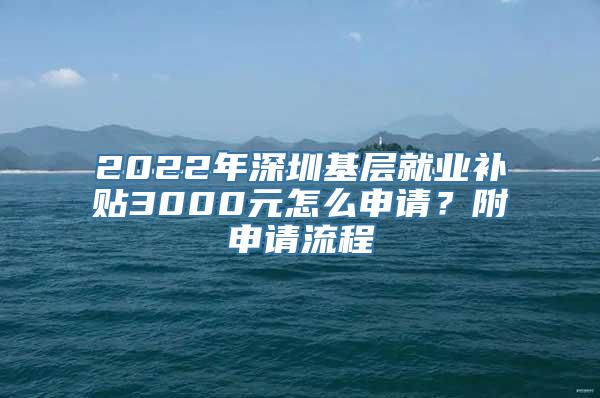 2022年深圳基层就业补贴3000元怎么申请？附申请流程
