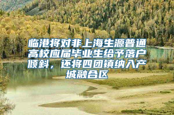 临港将对非上海生源普通高校应届毕业生给予落户倾斜，还将四团镇纳入产城融合区