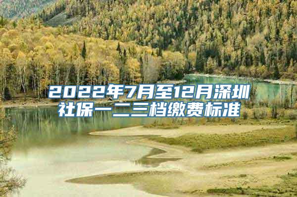 2022年7月至12月深圳社保一二三档缴费标准