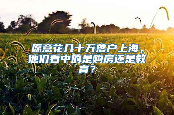 愿意花几十万落户上海，他们看中的是购房还是教育？