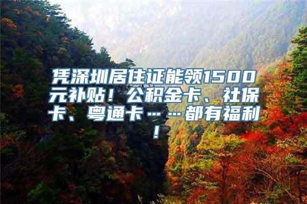 凭深圳居住证能领1500元补贴！公积金卡、社保卡、粤通卡……都有福利！
