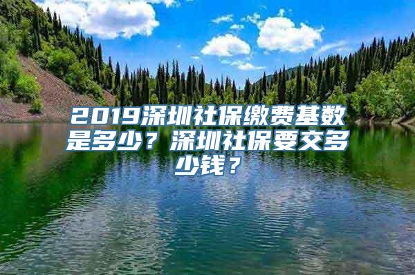 2019深圳社保缴费基数是多少？深圳社保要交多少钱？