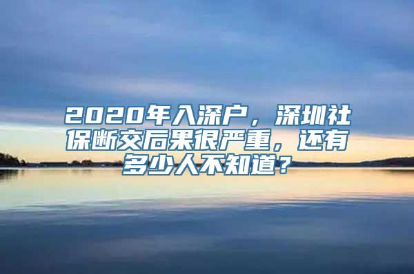 2020年入深户，深圳社保断交后果很严重，还有多少人不知道？