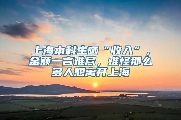 上海本科生晒“收入”，金额一言难尽，难怪那么多人想离开上海