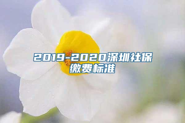 2019-2020深圳社保缴费标准