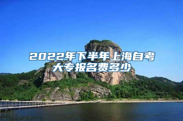 2022年下半年上海自考大专报名费多少