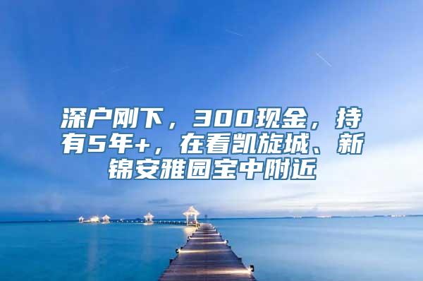 深户刚下，300现金，持有5年+，在看凯旋城、新锦安雅园宝中附近