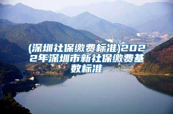 (深圳社保缴费标准)2022年深圳市新社保缴费基数标准