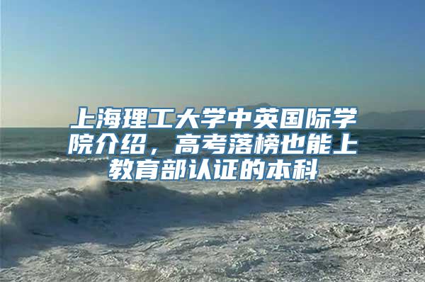 上海理工大学中英国际学院介绍，高考落榜也能上教育部认证的本科