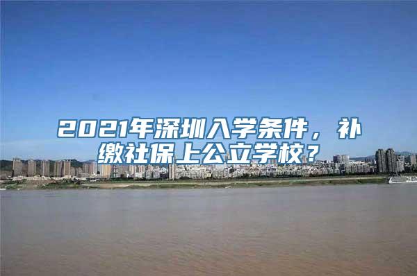 2021年深圳入学条件，补缴社保上公立学校？