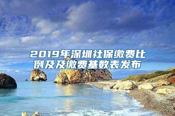 2019年深圳社保缴费比例及及缴费基数表发布