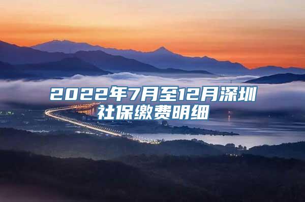 2022年7月至12月深圳社保缴费明细