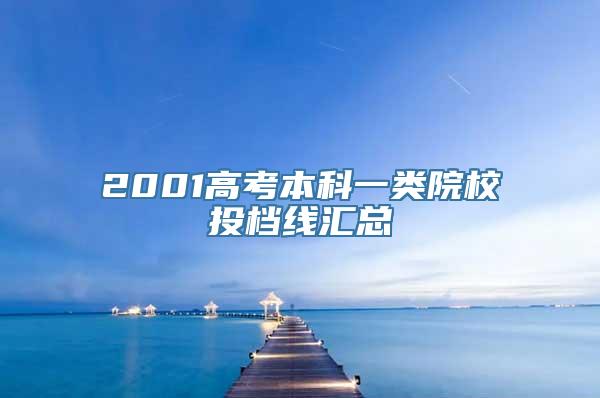 2001高考本科一类院校投档线汇总