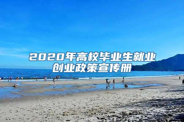 2020年高校毕业生就业创业政策宣传册