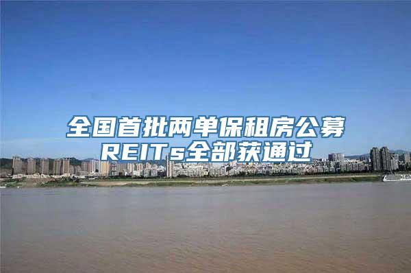 全国首批两单保租房公募REITs全部获通过