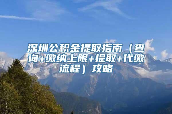 深圳公积金提取指南（查询+缴纳上限+提取+代缴流程）攻略