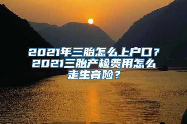 2021年三胎怎么上户口？2021三胎产检费用怎么走生育险？